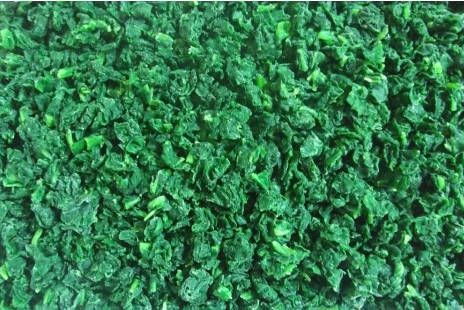 Frozen Spinach Cut High Quality IQF Chopped Spinach 3/8", Frozen Spinach Chop