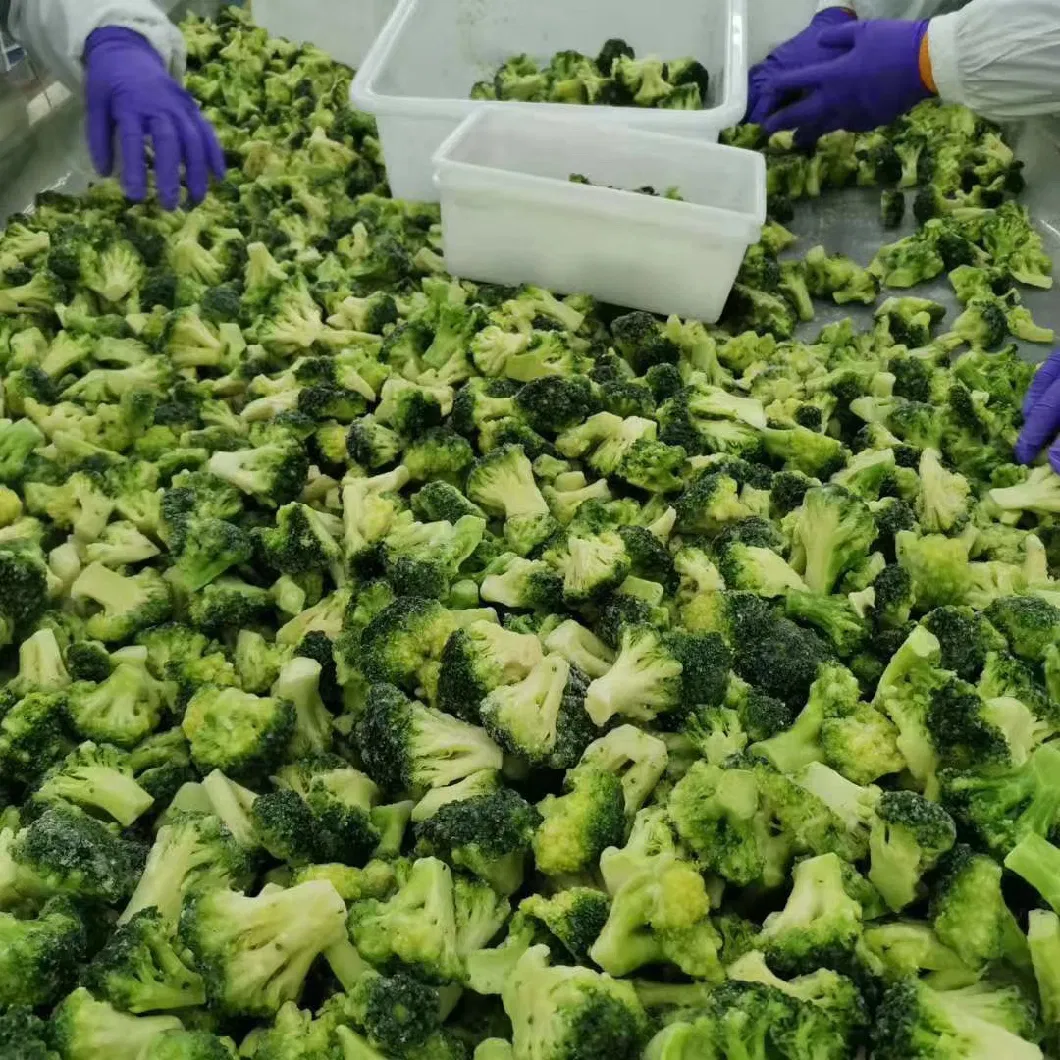 Nutrition Green IQF Vegetable Frozen Broccoli Flowers From China Factory