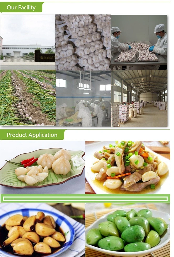 2022 New Crop Frozen Garlic Puree Tablet IQF Crushed Garlic with Gap Brc Certificates