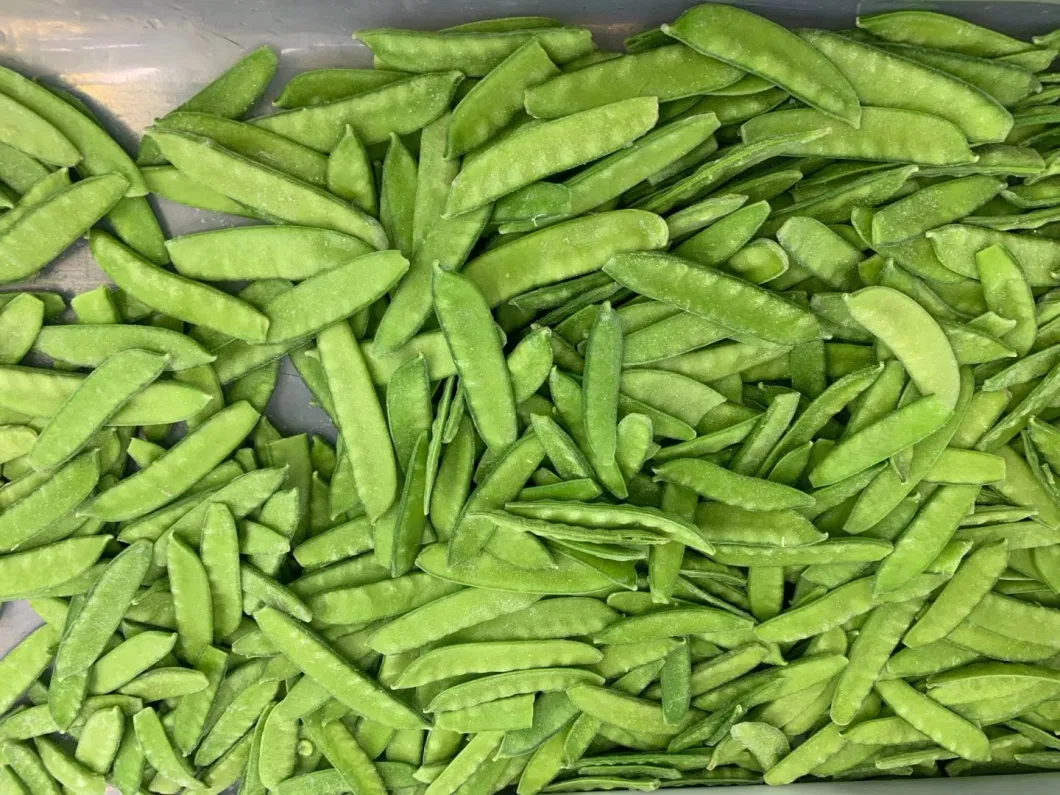 High Quality IQF Frozen Pea Pod/Snow Peas OEM with Factory Price