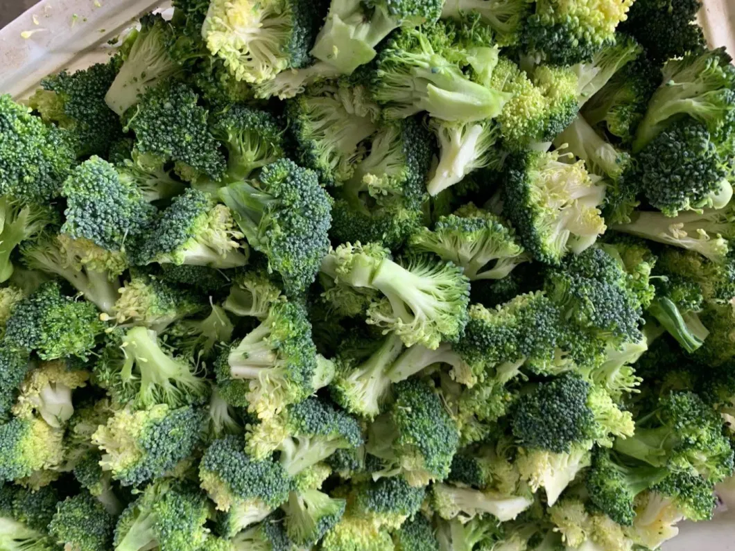 Nutrition Green IQF Vegetable Frozen Broccoli Flowers From China Factory